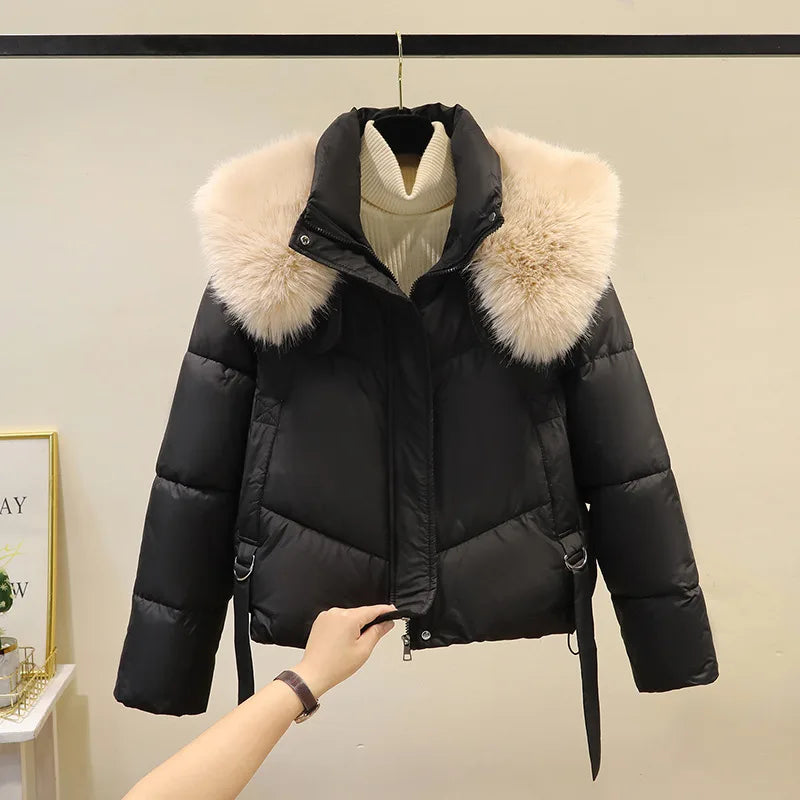 Odette | Women's Cropped Puffer Jacket - Color:Black;Size:S