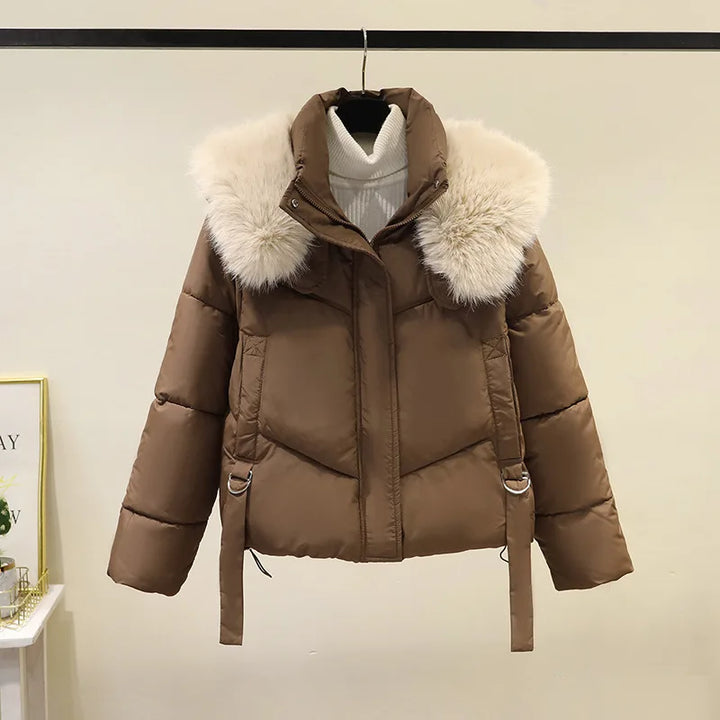 Odette | Women's Cropped Puffer Jacket - Color:Brown;Size:S