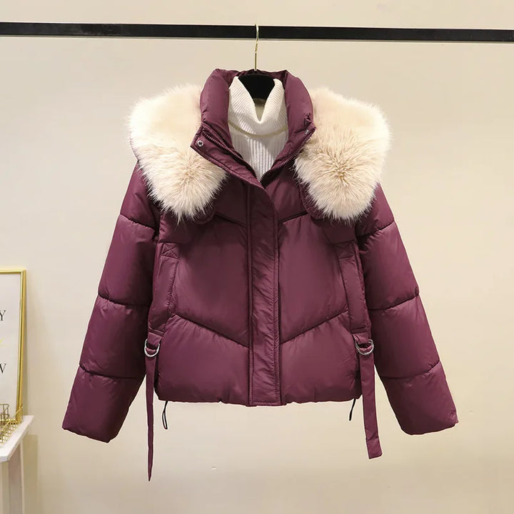 Odette | Women's Cropped Puffer Jacket - Color:Wine Red;Size:S